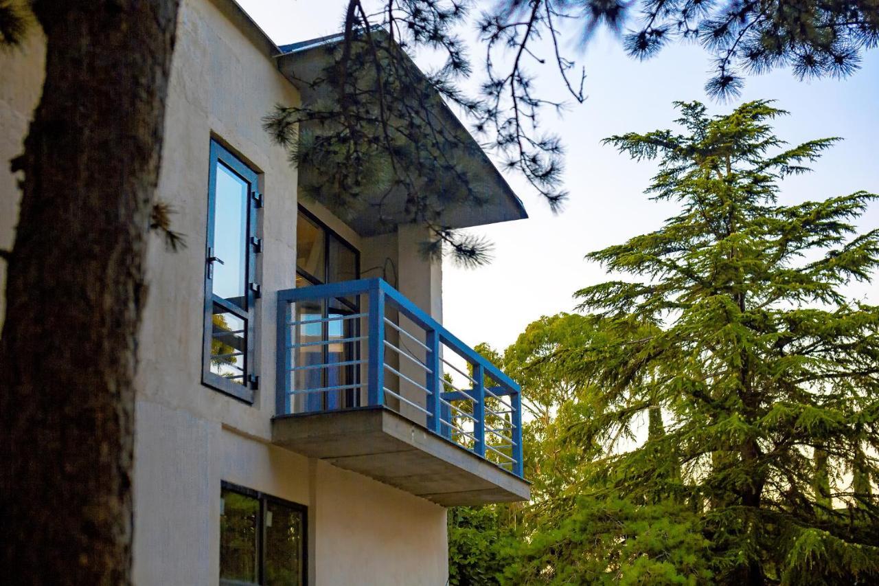 Green Land Hotel Tsandrypsh Εξωτερικό φωτογραφία
